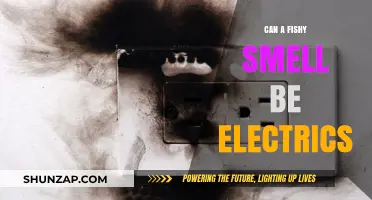 Exploring the Shocking Truth: Can Fishy Smells Be Electric?