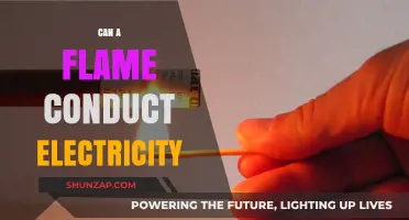 Exploring the Electrifying Connection Between Flames and Conductivity