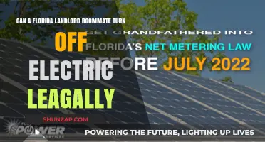 Legal Insights: Can a Florida Landlord Roommate Turn Off Electricity?