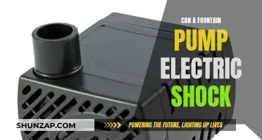 Exploring the Risks: Can a Fountain Pump Cause Electric Shock?