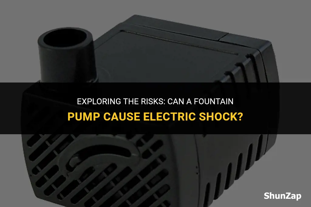can a fountain pump electric shock