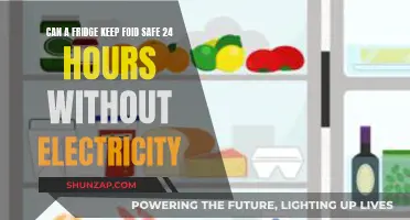 Food Safety in a Power Outage: How Long Can Your Fridge Last?