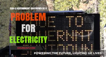 Powering Through: The Impact of Government Shutdowns on Electricity
