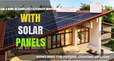 Empowering Homes: The Journey to Electricity Independence with Solar Panels