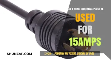 Can Standard Home Electrical Plugs Safely Handle 15-Amp Loads?
