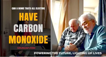 Electric Homes: The Surprising Truth About Carbon Monoxide Risks