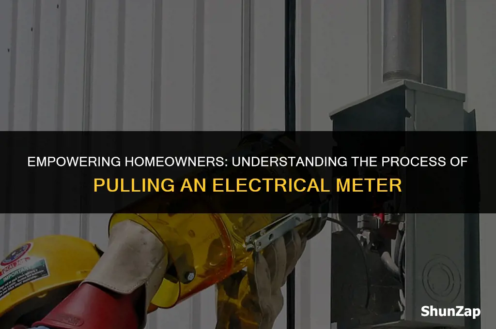 can a homeowner pull an electrical meter