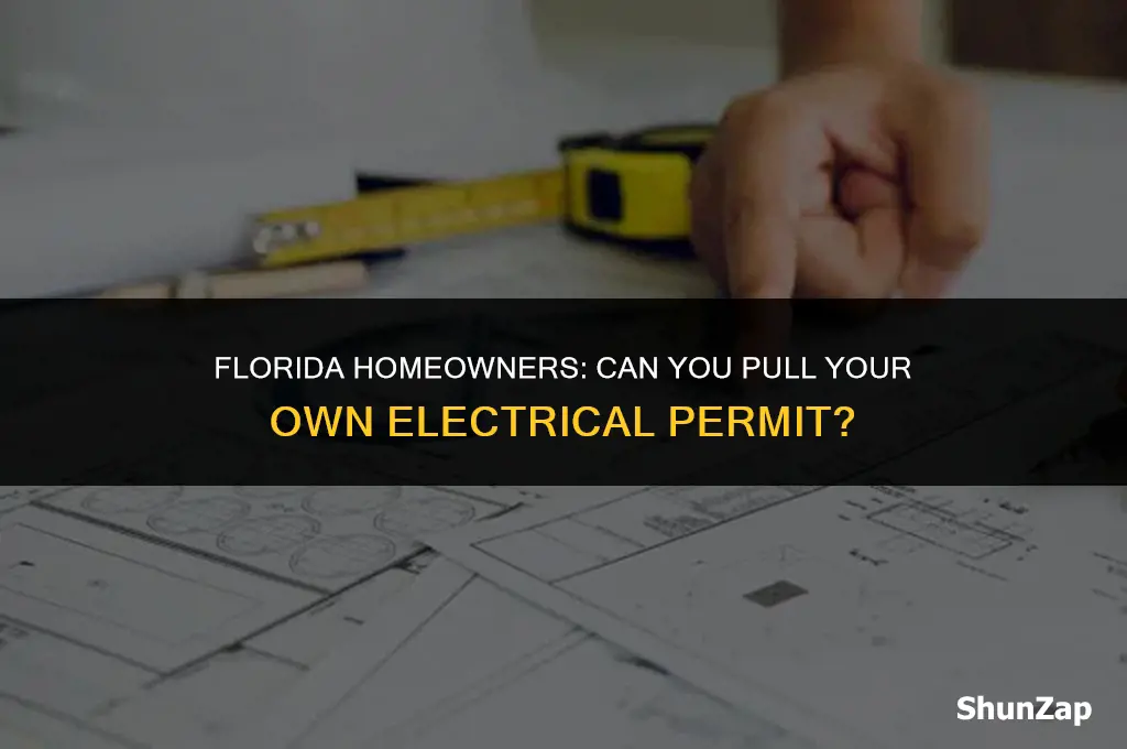 can a homeowner pull an electrical permit in florida