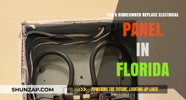 Florida Homeowners: Can You Replace Your Electrical Panel?