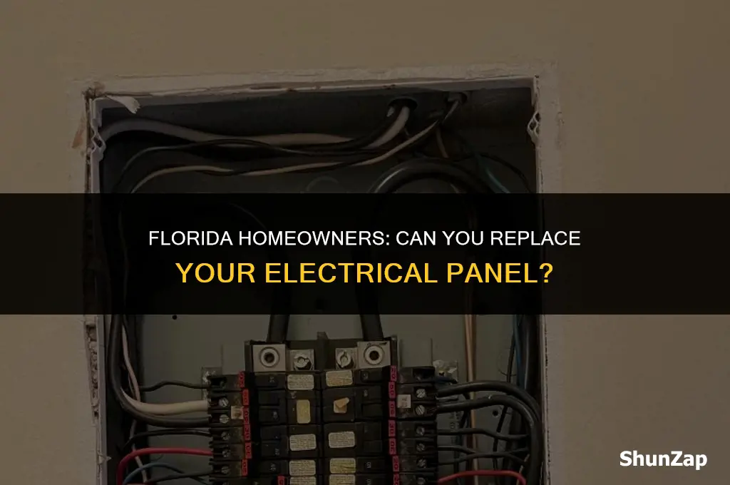 can a homeowner replace electrical panel in florida