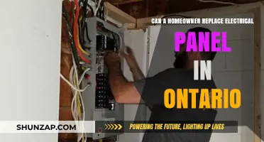 Ontario Homeowners: Can You Replace Your Electrical Panel?