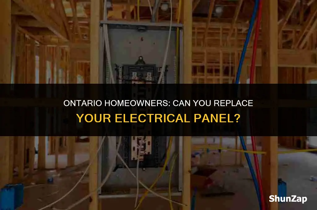 can a homeowner replace electrical panel in ontario