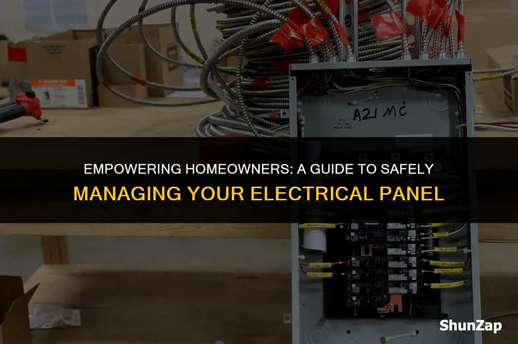 can a homeowner run electrical panel