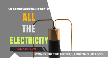 Can Homopolar Motors Power All Our Electricity Needs?