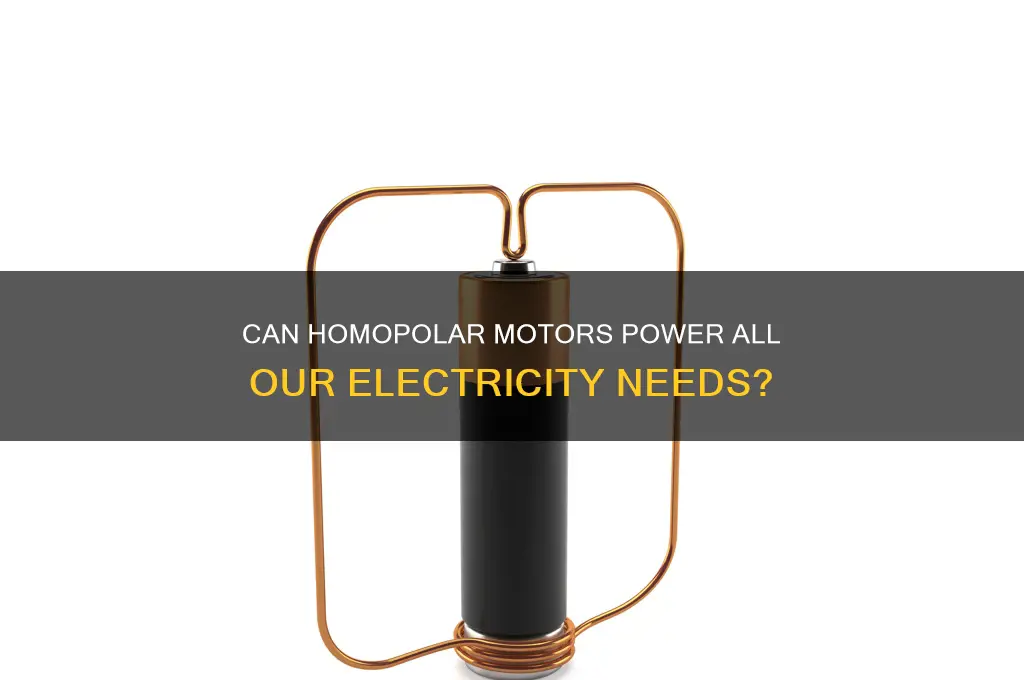 can a homopolar motor be used for all the electricity
