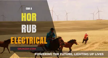 Exploring the Shocking Truth: Can Horses Really Run on Electricity?