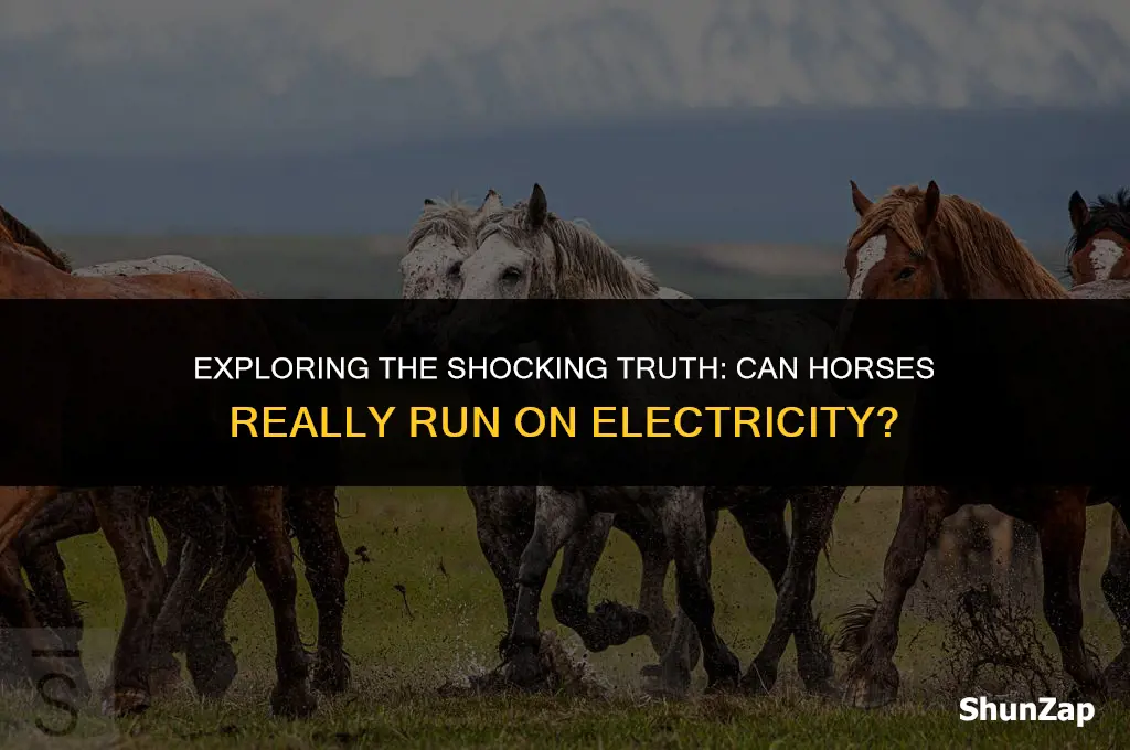 can a hor rub electrical