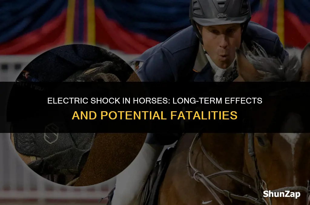 can a horse die later after electric shock