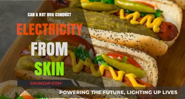 Exploring the Shocking Truth: Can a Hot Dog Conduct Electricity?