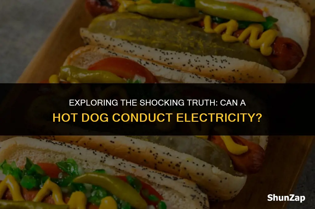 can a hot dog conduct electricity from skin