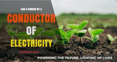 Exploring Human Conductivity: Can We Channel Electricity?