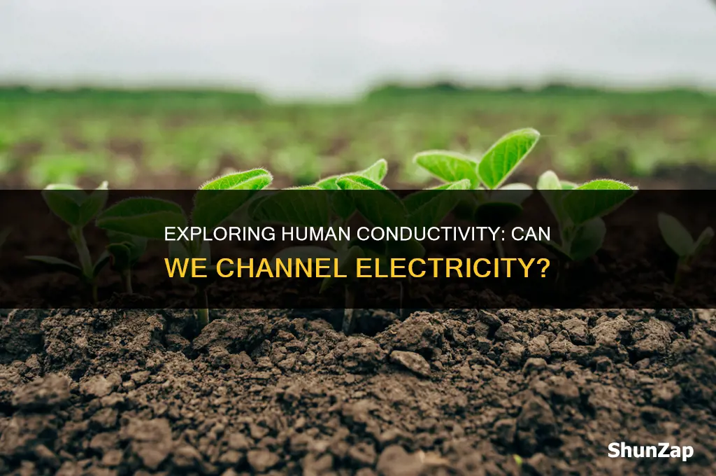 can a human be a conductor of electricity