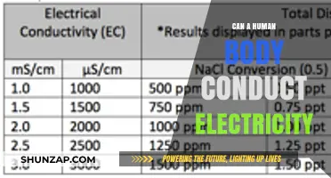 The Electric Human: Exploring Our Body's Conductive Capabilities