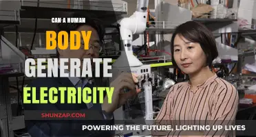 Exploring the Electric Potential Within: Can Humans Generate Electricity?