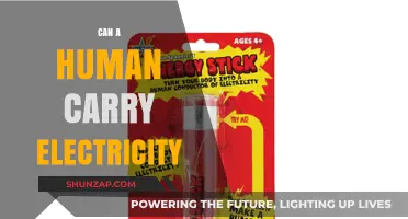 Exploring the Shocking Truth: Can Humans Conduct Electricity?