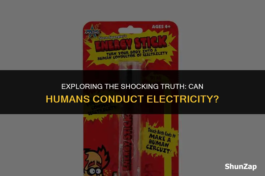 can a human carry electricity