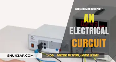 Empowering Curiosity: Can Humans Conduct Electricity?