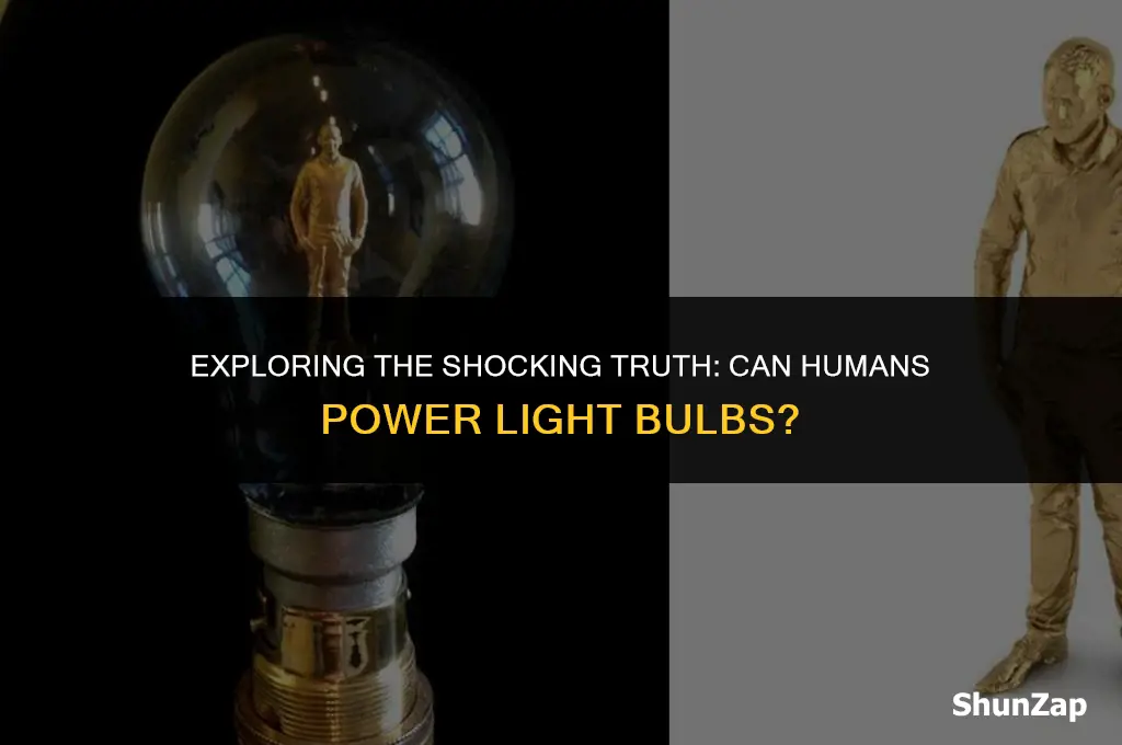 can a human conduct electricity to light a bulb
