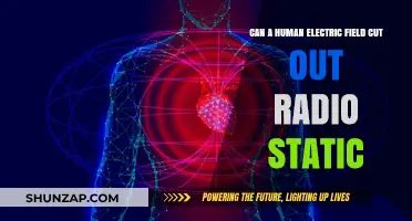 Exploring the Myth: Can Human Electric Fields Silence Radio Static?