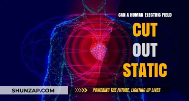 Exploring the Myth: Can a Human Electric Field Really Cut Out Static?