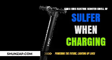 Unusual Smells: Investigating Sulfur Odors in Kids' Electric Scooters