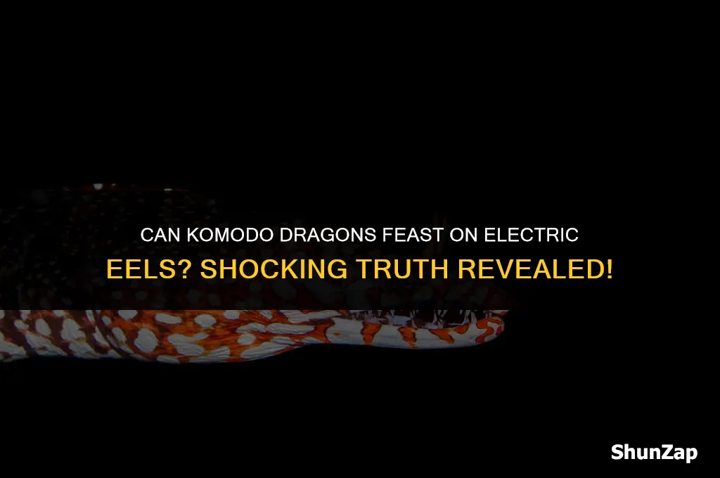can a komodo dragon eat an electric eel