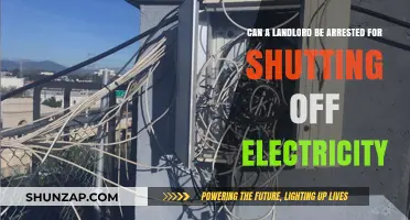 Legal Consequences for Landlords: Shutting Off Electricity