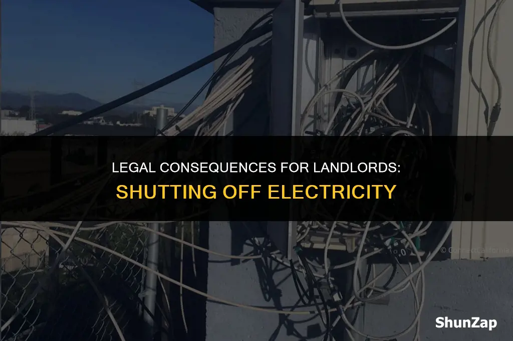 can a landlord be arrested for shutting off electricity