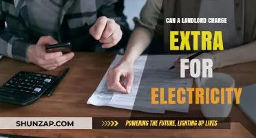Understanding Electricity Charges: A Tenant's Guide to Fair Billing