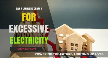 Navigating Energy Costs: Can Landlords Charge for Excessive Electricity?
