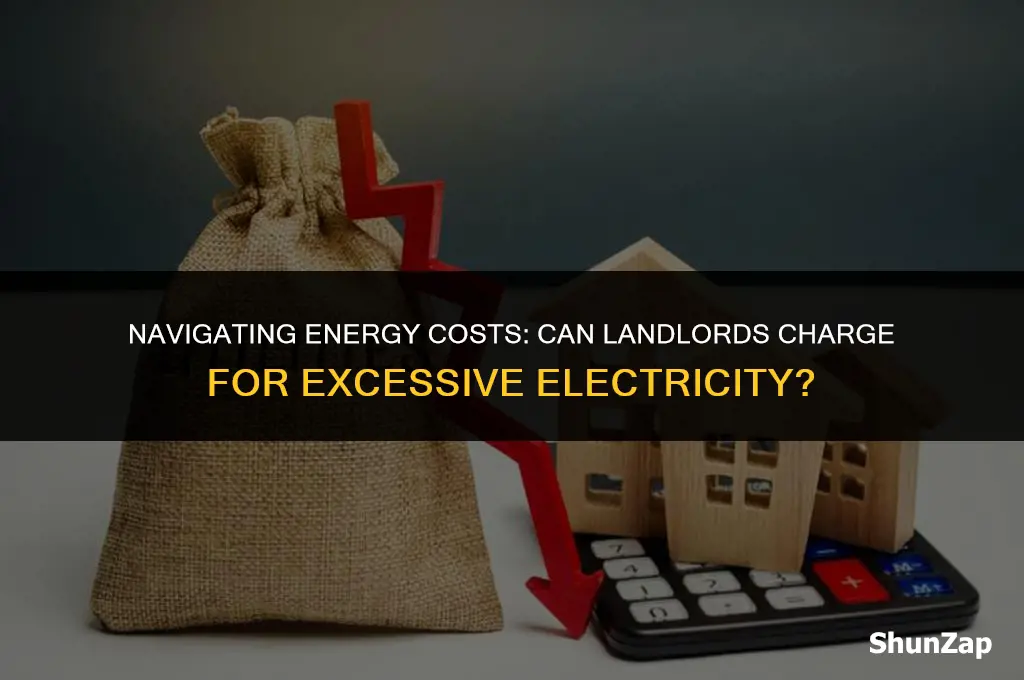 can a landlord charge for excessive electricity