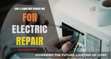 Who's Responsible for Electrical Repairs: Tenant or Landlord?