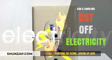 Can a Landlord Cut Off Electricity? Know Your Rights and Responsibilities