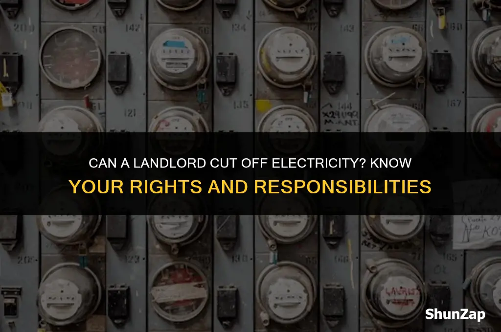 can a landlord cut off electricity