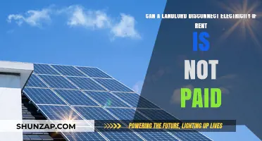 Understanding Tenant Rights: Can a Landlord Disconnect Electricity for Unpaid Rent?