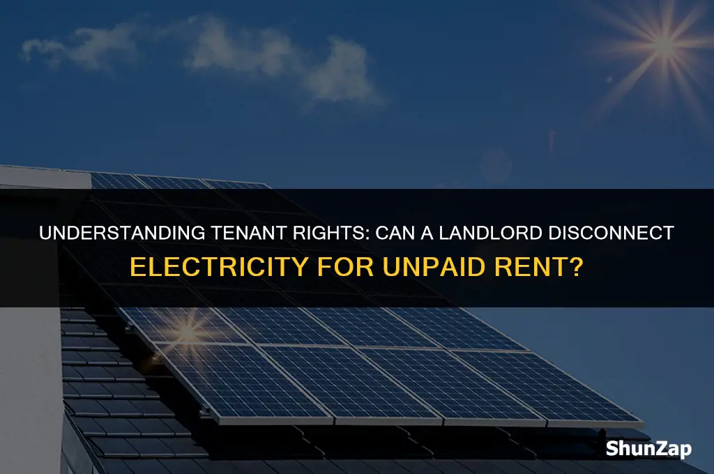 can a landlord disconnect electricity if rent is not paid
