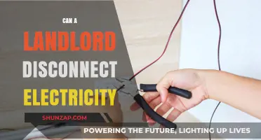 Can a Landlord Disconnect Electricity? Know Your Rights and Responsibilities