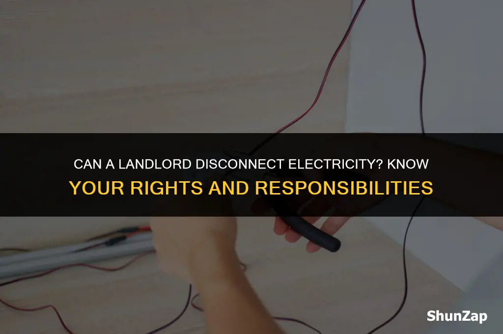 can a landlord disconnect electricity