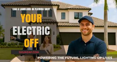 Florida Landlord's Rights: Can They Shut Off Your Electricity?