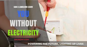 Landlord's Responsibilities: Ensuring Continuous Electricity Supply to Tenants